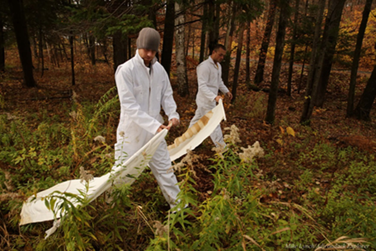 Sweeping for ticks